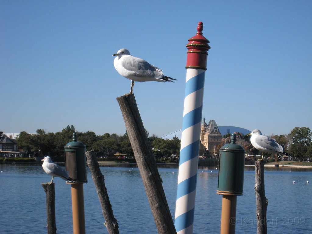 Disney 2010 D3 0980.jpg - January 9-11, 2010 Disney World Florida. Monday, up and ready to roll, took shuttle to Epcot. Caught a couple shows and took a lot of pictures. Finally had to call it a day to get to our plane to go home.